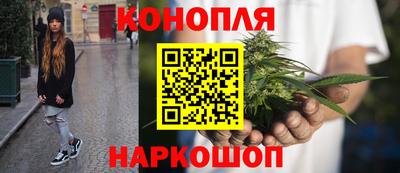 молекула духа Пенза