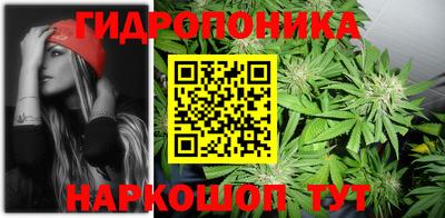 молекула духа Пенза
