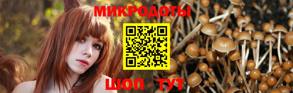 Псилоцибиновые грибы ЛСД Похвистнево